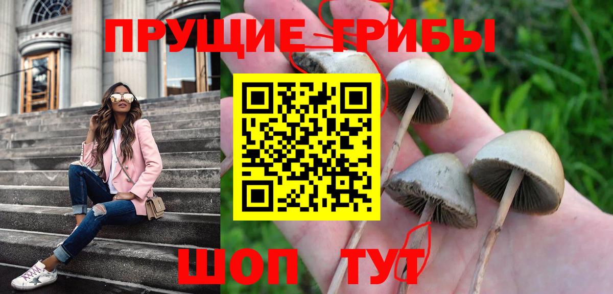 Галлюциногенные грибы GOLDEN TEACHER  Вход с VPN  Псилоцибиновые грибы Psilocybine cubensis  Родники 